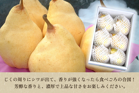 【2026年先行予約】【家庭用】ル・レクチェ 2kg（5～7玉）《11月下旬から順次発送》 果物 梨 洋梨 西洋梨 フルーツ 訳あり 冬の味覚 デザート 産地直送 加茂市 まるさん金子果樹園 梨