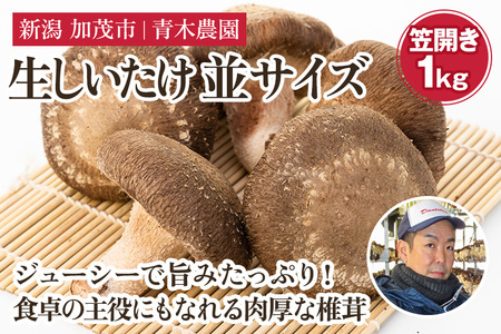 生しいたけ 並サイズ（笠開き） 約1kg（24～36個）《10月中旬から順次発送》 品評会で金賞受賞！ きのこ しいたけ 椎茸 特大 食べ応えある大きさ 肉厚で旨味たっぷり！ 加茂市 青木農園 きのこ きのこ きのこ きのこ きのこ