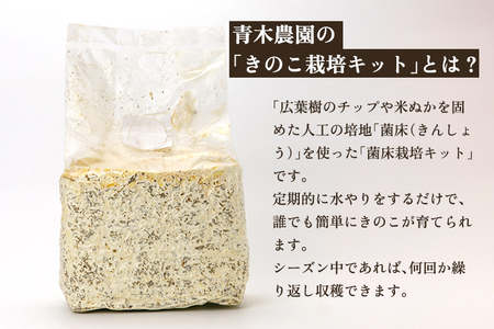 【2024年先行予約】菌床きのこ栽培キット なめこ 1株入り《10月上旬から順次発送》栽培キット 自家栽培 きのこ なめこ 栽培 初心者でも簡単 自宅 菌床 加茂市 青木農園 きのこ きのこ きのこ きのこ きのこ