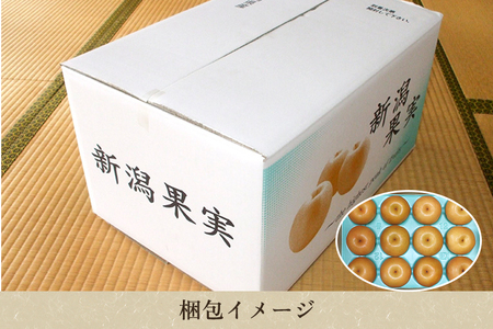 和梨 新高 5kg（6～9玉）《10月上旬から順次発送》 果物 なし にいたか 梨 フルーツ 新鮮 ジューシー 産地 加茂市 樋口農園