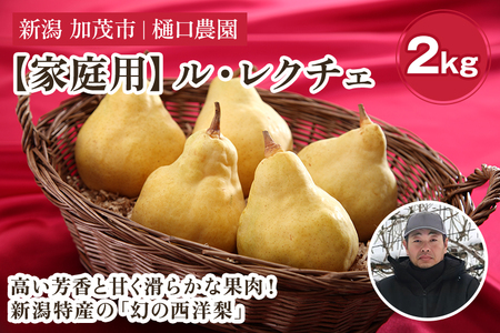 【2026年先行予約】【家庭用】西洋梨 ル・レクチェ 2kg（5～7玉）《11月下旬～順次発送》 果物 梨 洋梨 西洋梨 フルーツ 訳あり 冬の味覚 デザート 産地直送 加茂市 樋口農園 梨