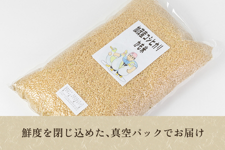 	【令和6年産新米先行予約】【無農薬・無化学肥料】新潟産コシヒカリ「かも米」玄米5kg （5kg×1袋）真空パック 従来品種コシヒカリ 加茂市 織原農園