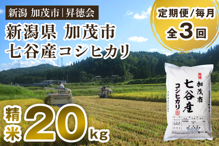 【令和7年産】【定期便3回毎月お届け】七谷産コシヒカリ 精米20kg（5kg×4） 白米 高柳地域産数量限定 昇徳会