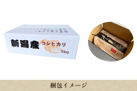 【令和6年産新米】加茂市産コシヒカリ 精米5kg コシヒカリ 新潟産 米 お米 白米 加茂市 関川農園 コシヒカリ コシヒカリ コシヒカリ コシヒカリ コシヒカリ コシヒカリ