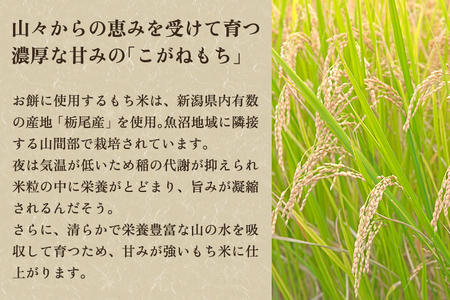 餅 杵つき黄金まめ餅 約2kg（10切入×4袋）《順次出荷》 新潟県産こがねもち米