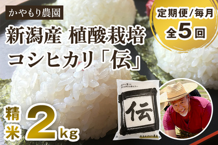 【令和7年産新米】【定期便5ヶ月毎月お届け】新潟産コシヒカリ「伝」白米真空パック 精米2kg 《9月下旬~順次出荷》 かやもり農園