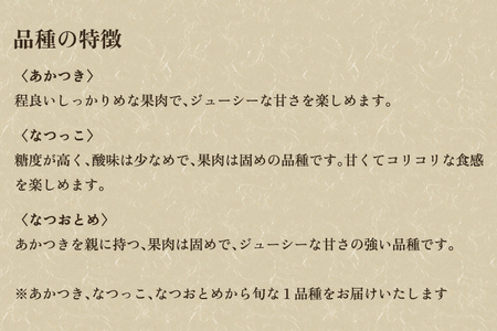 【2026年先行予約】新潟県産 桃 約2㎏(5~8玉)《7月下旬~順次発送》 もも ピーチ