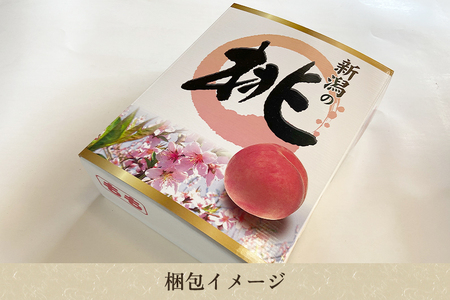【2026年先行予約】新潟県産 桃 約2㎏(5~8玉)《7月下旬~順次発送》 もも ピーチ