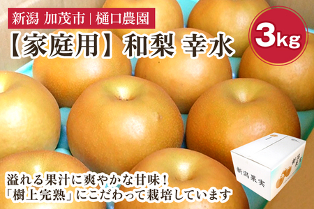 【2026年先行予約】【家庭用】和梨 幸水 3kg(6~9玉)《8月中旬から順次発送》 こうすい 梨