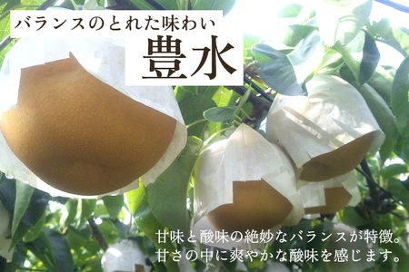【2026年先行予約】【家庭用】和梨 豊水 3kg(6~9玉)《9月上旬から順次発送》 ほうすい 梨