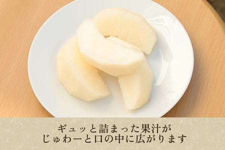 【2026年先行予約】【家庭用】和梨 豊水 3kg(6~9玉)《9月上旬から順次発送》 ほうすい 梨