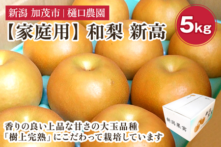 【2026年先行予約】【家庭用】和梨 新高 5kg(5~9玉)《10月上旬から順次発送》 にいたか 梨