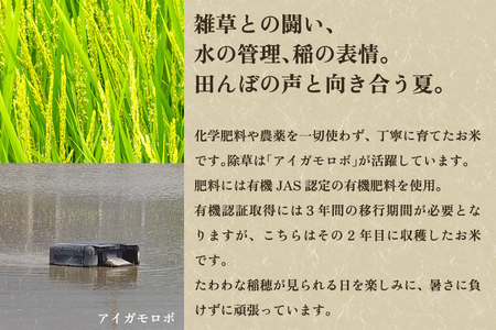 【令和7年産新米】【定期便3ヶ月毎月お届け】加茂市産 特別栽培米 コシヒカリ 精米5kg
