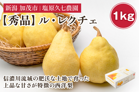 【2026年先行予約】新潟特産 幻の洋梨ル・レクチェ 秀品 約1kg (約3玉)《11月下旬～順次発送》