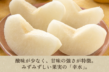 【2025年先行予約】しらい農園の和梨 幸水 家庭用5kg（8～18玉） 《8月中旬から順次発送》 果実 フルーツ 訳あり 甘くてジューシーな梨 なし こうすい 加茂市 しらい農園