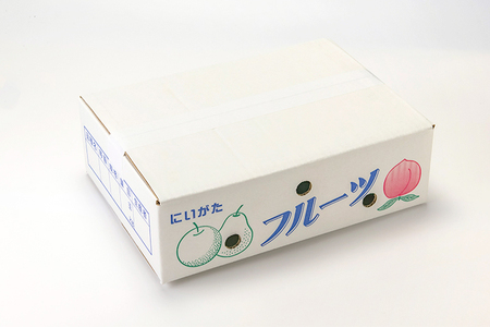 【2026年先行予約】新潟県産 和梨 甘ひびき 3kg 【秀品】《7月下旬～順次発送》 あまひびき