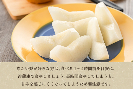 【2026年先行予約】新潟県産 和梨 豊水 3kg 【秀品】《8月下旬～順次発送》 ほうすい