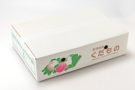 【2026年先行予約】新潟県産 和梨 新興 5kg 【秀品】《10月下旬～順次発送》 しんこう