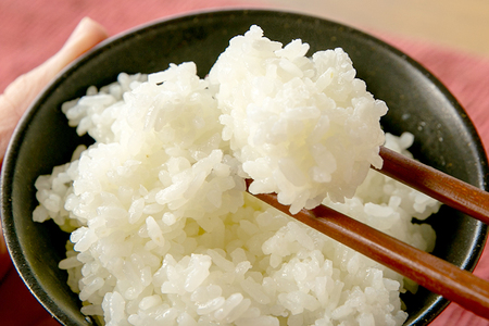 【令和7年産新米先行予約】 七谷産コシヒカリ 玄米5kg 《12月上旬〜順次発送》