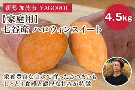 【家庭用】ハロウィンスイート 4.5kg(A品・B品混在) 七谷産 さつまいも《順次発送》
