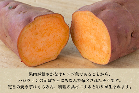 【家庭用】ハロウィンスイート 4.5kg(A品・B品混在) 七谷産 さつまいも《順次発送》