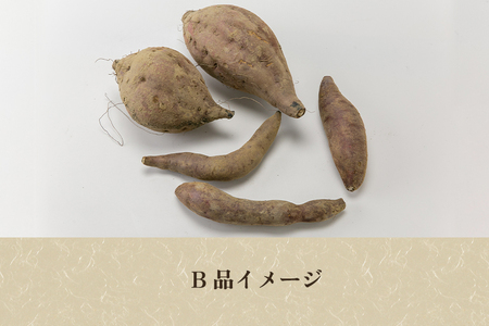 【家庭用】紅はるか 1kg(A品・B品混在) 七谷産 さつまいも《順次発送》