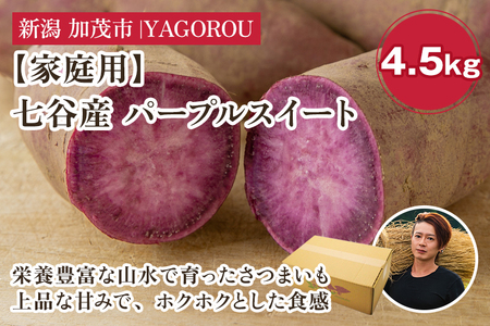 【家庭用】パープルスイート 4.5kg(A品・B品混在) 七谷産 さつまいも《順次発送》