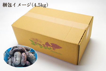【2025年先行予約】【規格外】さつまいも詰め合わせ4.5kg 七谷産 《12月中旬順次発送》