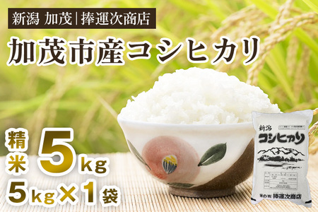 【令和7年産新米】加茂市産コシヒカリ 精米5kg