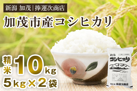 【令和7年産新米】加茂市産コシヒカリ 精米10kg