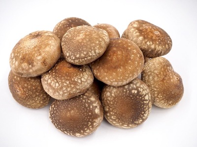 加茂市の生しいたけ 約500g(10〜15個)《順次発送》