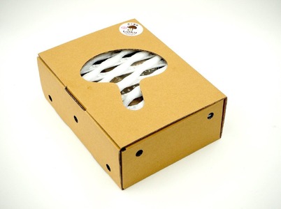 加茂市の生しいたけ 約500g(10〜15個)《順次発送》