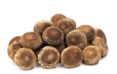 加茂市の生しいたけ 約1kg(20〜30個)《順次発送》