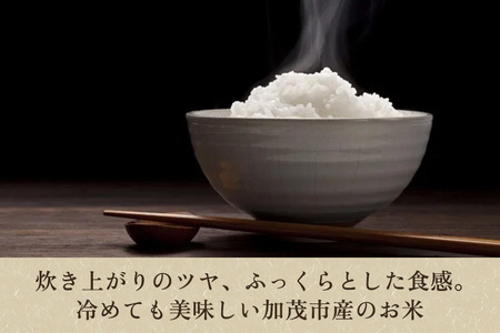 【令和7年産新米先行予約】加茂市産コシヒカリ 精米 4kg（2kg×2袋） 《9月下旬〜順次出荷》