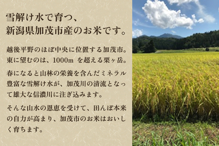 【令和7年産新米】【定期便6ヶ月毎月お届け】加茂市産コシヒカリ 精米 4kg（2kg×2袋）