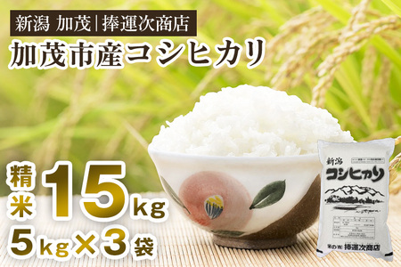 【令和7年産新米先行予約】加茂市産コシヒカリ 精米 15kg（5kg×3袋）《9月下旬〜順次出荷》