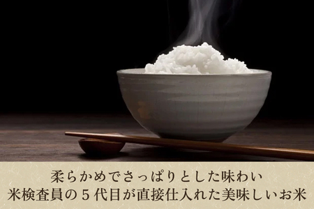 【令和7年産新米】新潟県産こしいぶき 精米 5kg