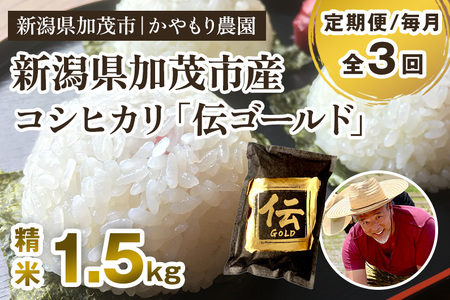 【令和7年産】【定期便3回毎月お届け】新潟産コシヒカリ「伝ゴールド」白米真空パック 精米1.5kg