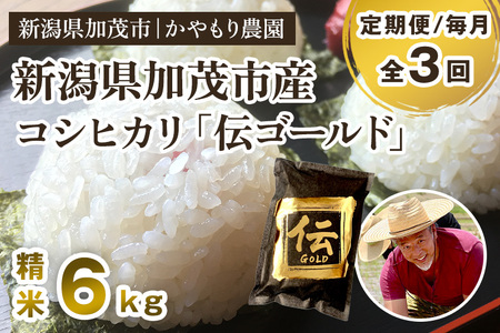 【令和7年産】【定期便3回毎月お届け】新潟産コシヒカリ「伝ゴールド」白米真空パック 精米 6kg（1.5kg×4）