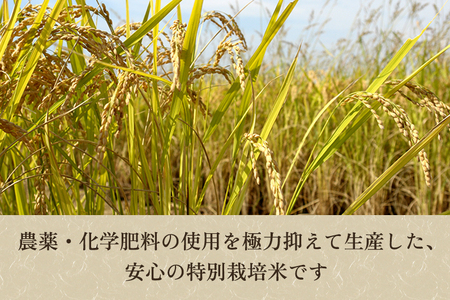 令和5年産新米】新潟県加茂市産 特別栽培米コシヒカリ 精米15kg（5kg×3