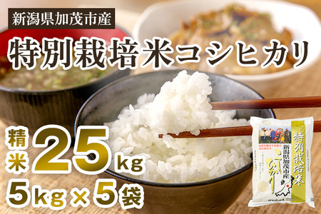 令和5年産米】新潟県加茂市産 特別栽培米コシヒカリ 精米25kg（5kg×5
