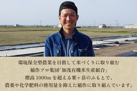 【令和6年産新米先行予約】新潟県加茂市産コシヒカリ 精米10kg（5kg×2）白米 加茂有機米生産組合 新潟県産コシヒカリ 米 お米