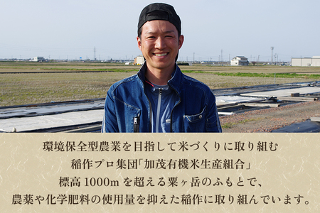 定期便6ヶ月毎月お届け】新潟県加茂市産 特別栽培米コシヒカリ 精米5kg