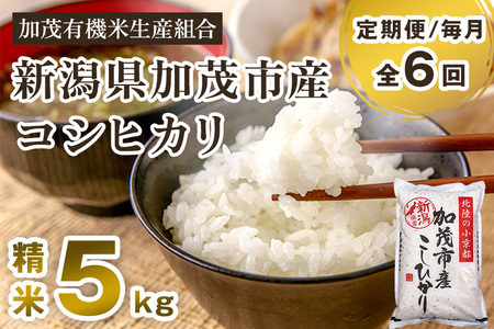 【定期便6ヶ月毎月お届け】新潟県加茂市産コシヒカリ 精米5kg 白米 加茂有機米生産組合 定期便 定期購入 定期 コシヒカリ 新潟県産コシヒカリ 米 お米