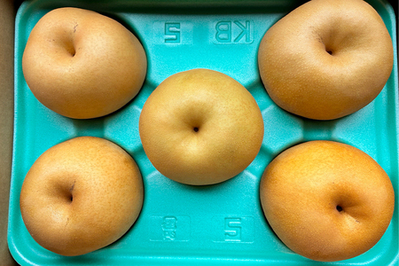 西村の黒酢ミネラル栽培「新興」（小玉）3kg（7〜10玉）《順次発送》