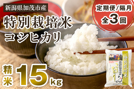 定期便3回隔月お届け】新潟県加茂市産 特別栽培米コシヒカリ 精米15kg