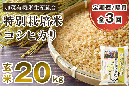 【定期便3回隔月お届け】【令和6年産新米先行予約】新潟県加茂市産 特別栽培米コシヒカリ 玄米20kg（5kg×4）従来品種コシヒカリ 加茂有機米生産組合 定期便 定期購入 定期 新潟県産コシヒカリ 米 お米