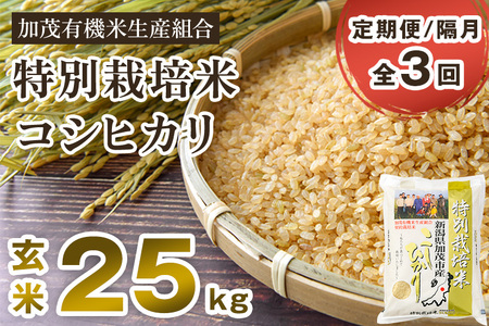 【定期便3回隔月お届け】【令和6年産新米先行予約】新潟県加茂市産 特別栽培米コシヒカリ 玄米25kg（5kg×5）従来品種コシヒカリ 加茂有機米生産組合 定期便 定期購入 定期 新潟県産コシヒカリ 米 お米