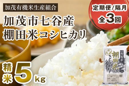 【定期便3回隔月お届け】【令和6年産新米先行予約】新潟県加茂市 七谷産 棚田米コシヒカリ 精米5kg 白米 加茂有機米生産組合 定期便 定期購入 定期 新潟県産コシヒカリ 米 お米