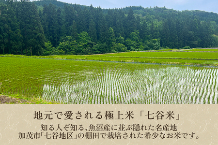 定期便3回隔月お届け】新潟県加茂市 七谷産 棚田米コシヒカリ 精米5kg